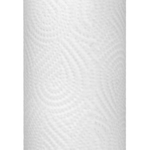 HEETA Kitchen Roll Holder Free Standing, Stainless Steel Kitchen Towel Holder with Suction Cups Non Slip, Compatible with Most Size Rolls, Rustproof Kitchen Roll Stand for Kitchen Countertop, Silver