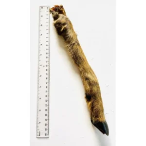 Anco Naturals Hairy Roe Deer Leg